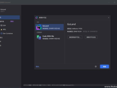 Go语言集成开发环境 JetBrains GoLand v2025.1 激活版