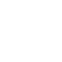 11Z
