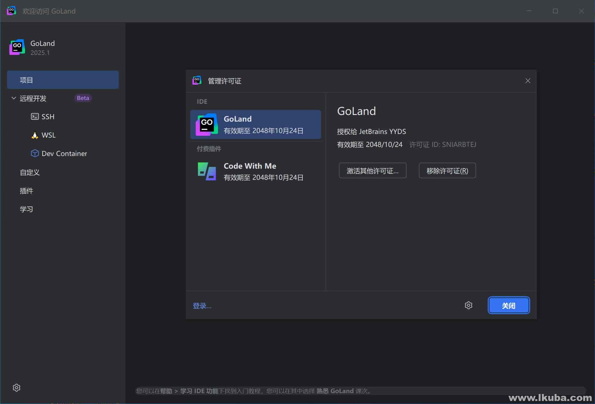 Go语言集成开发环境 JetBrains GoLand v2025.1 激活版
